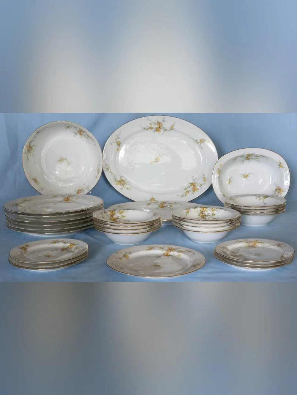 Beautiful Antique Elite Works Limoges France LIM48 Yellow Rose Dinnerware Set